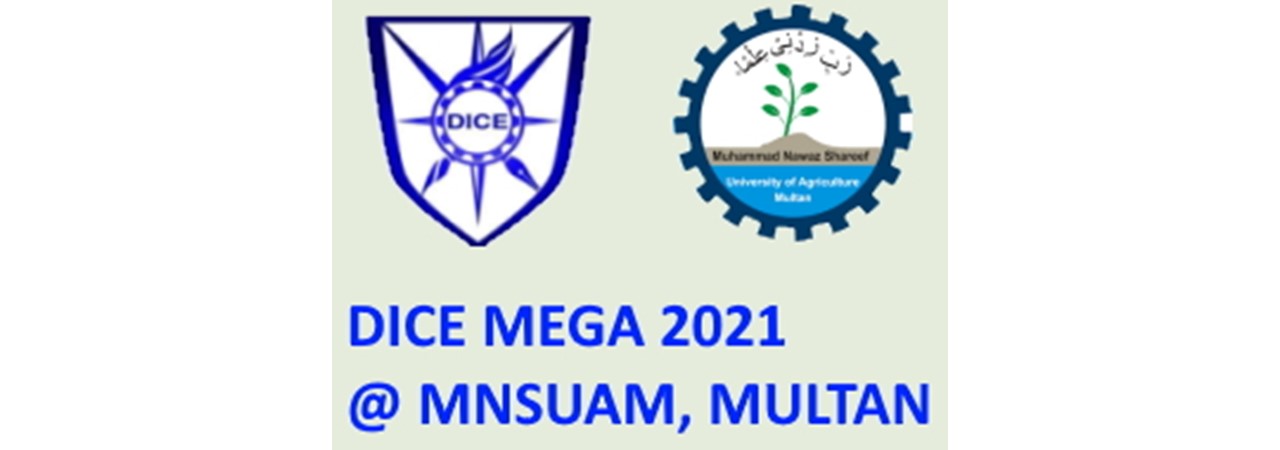 Dice Mega 2021 -1 